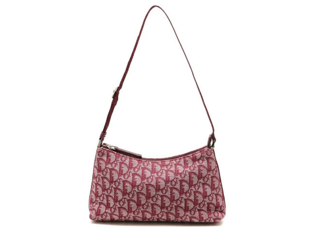 Christian Dior bag handbag Trotter Pouch Clutch canvas